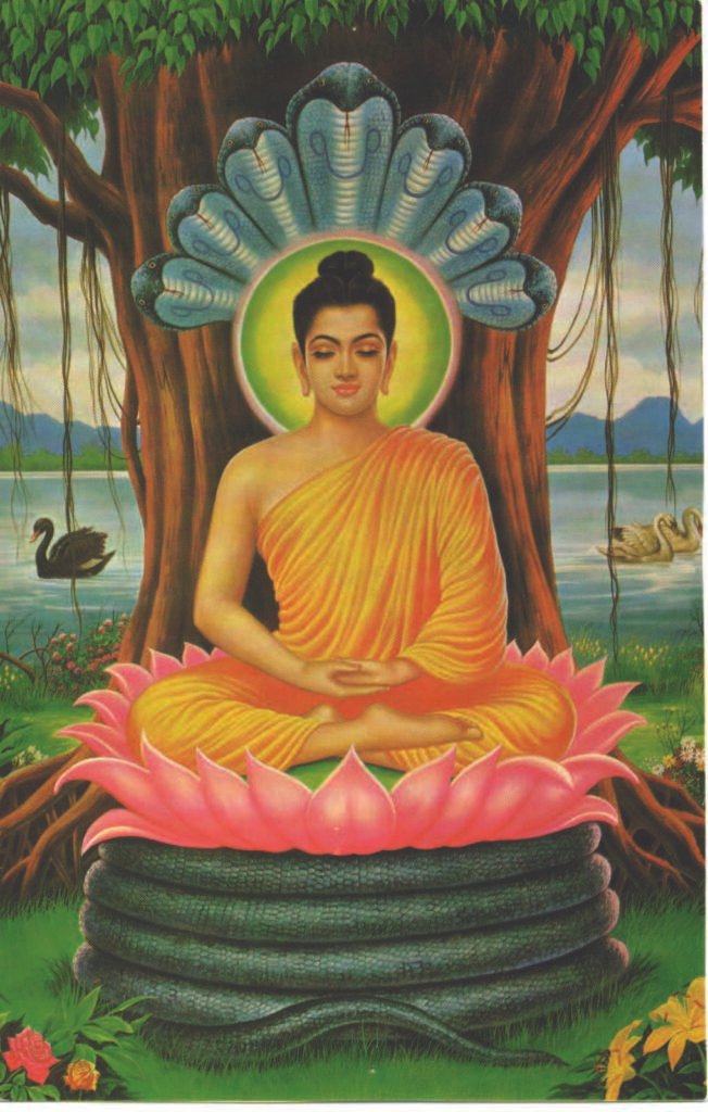 Buddha sitting under Bodhi tree. 佛陀在菩提树下打坐。