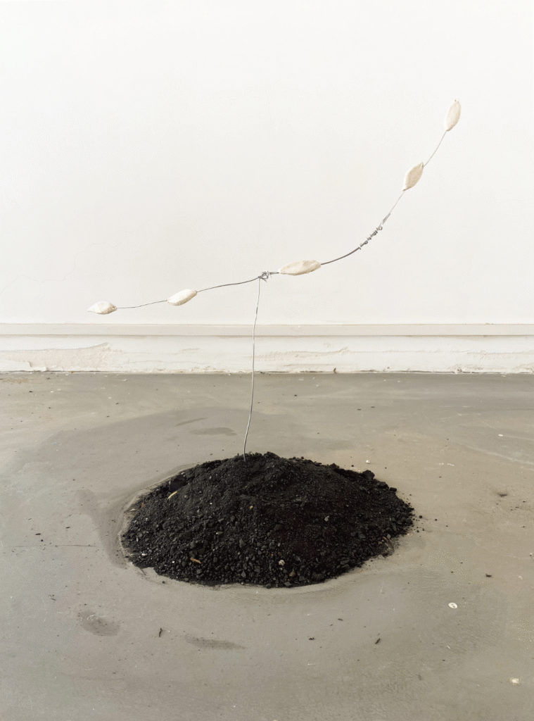 EN: Installation with a mound of coal and wire-suspended clay leaves, symbolizing falling leaves as both death and the first step toward renewal through geological time. CN: 煤炭堆与铁丝悬挂的黏土叶片装置,象征落叶既是死亡,也是通过地质时间走向重生的开端。